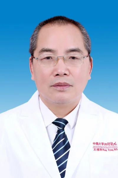 王锡阳